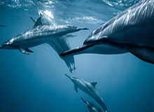 彩票开奖结果-亚洲杯女单小组赛第三轮：陈幸同3-0卡马洛娃晋级